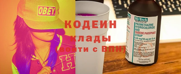 шишки Верея